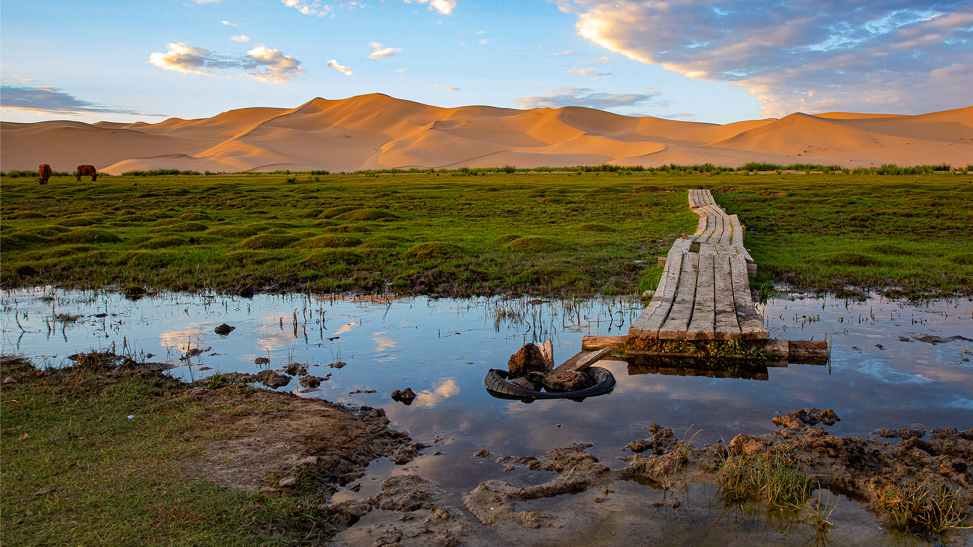 Rio Tinto Ventures photo