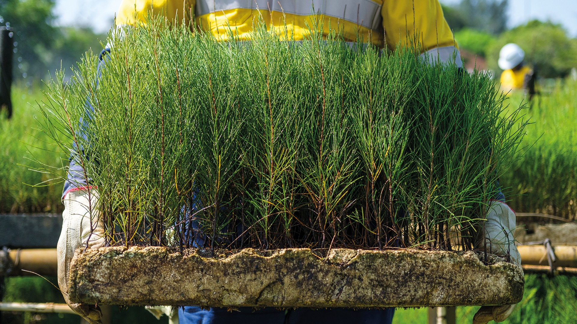 Sustainability reporting | Global