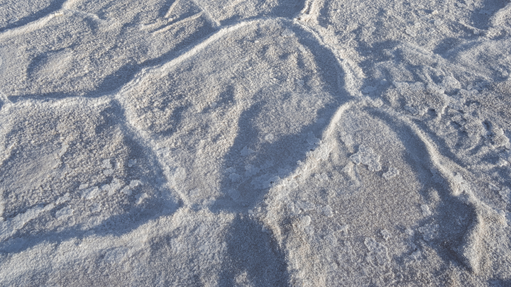 Rincon salt crust