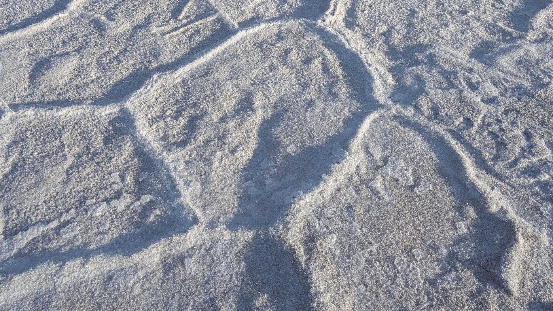 Rincon salt crust