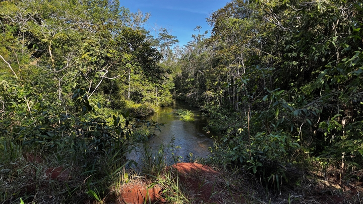 Amazon, Porto Trombetas