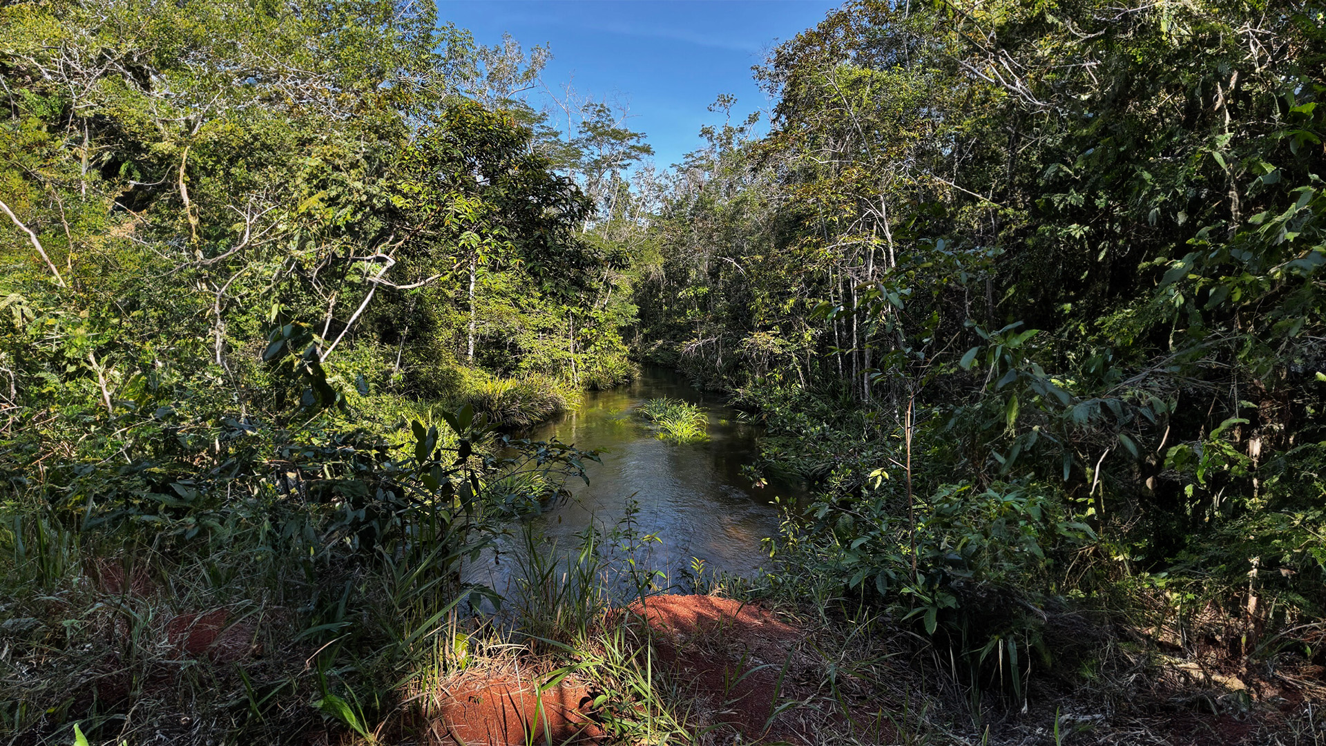 Amazon, Porto Trombetas