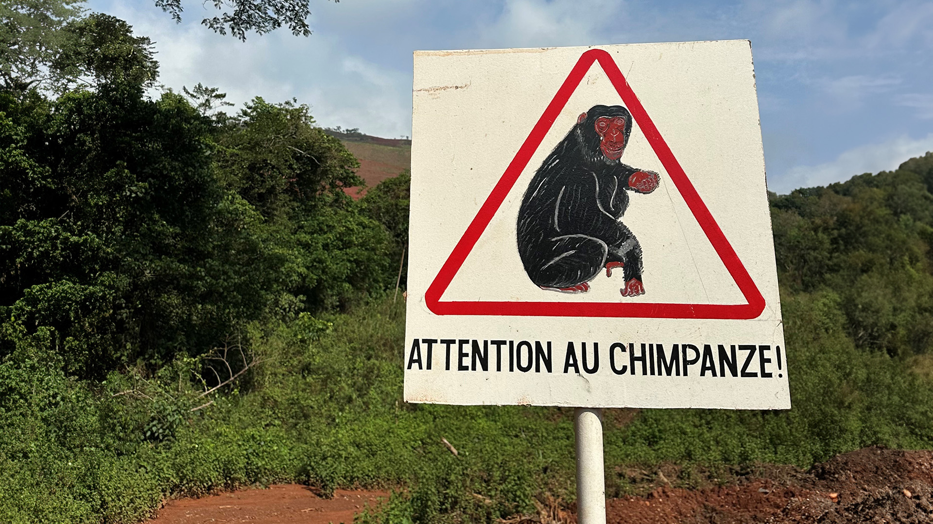 Warning signs at Simandou encourage site teams to drive slowly and be cautious. 