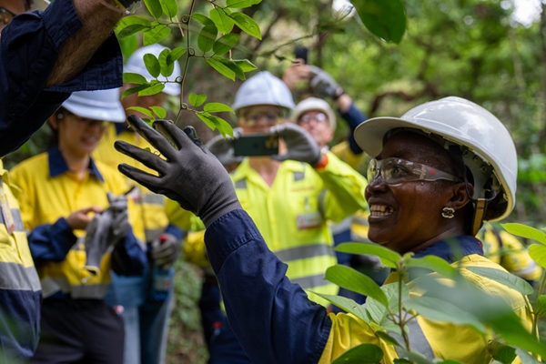 Denise, a botanist at Simandou, smiling and touching a leaf from tree while her teammates take her photo with a phone camera. 