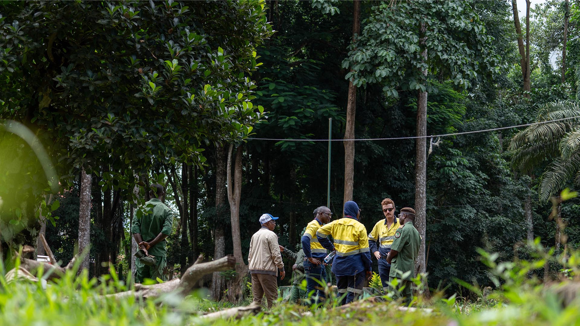 Guardians of the forest: communities leading conservation in Simandou banner image