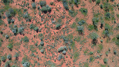 Outback Australia aerial drone wide shot