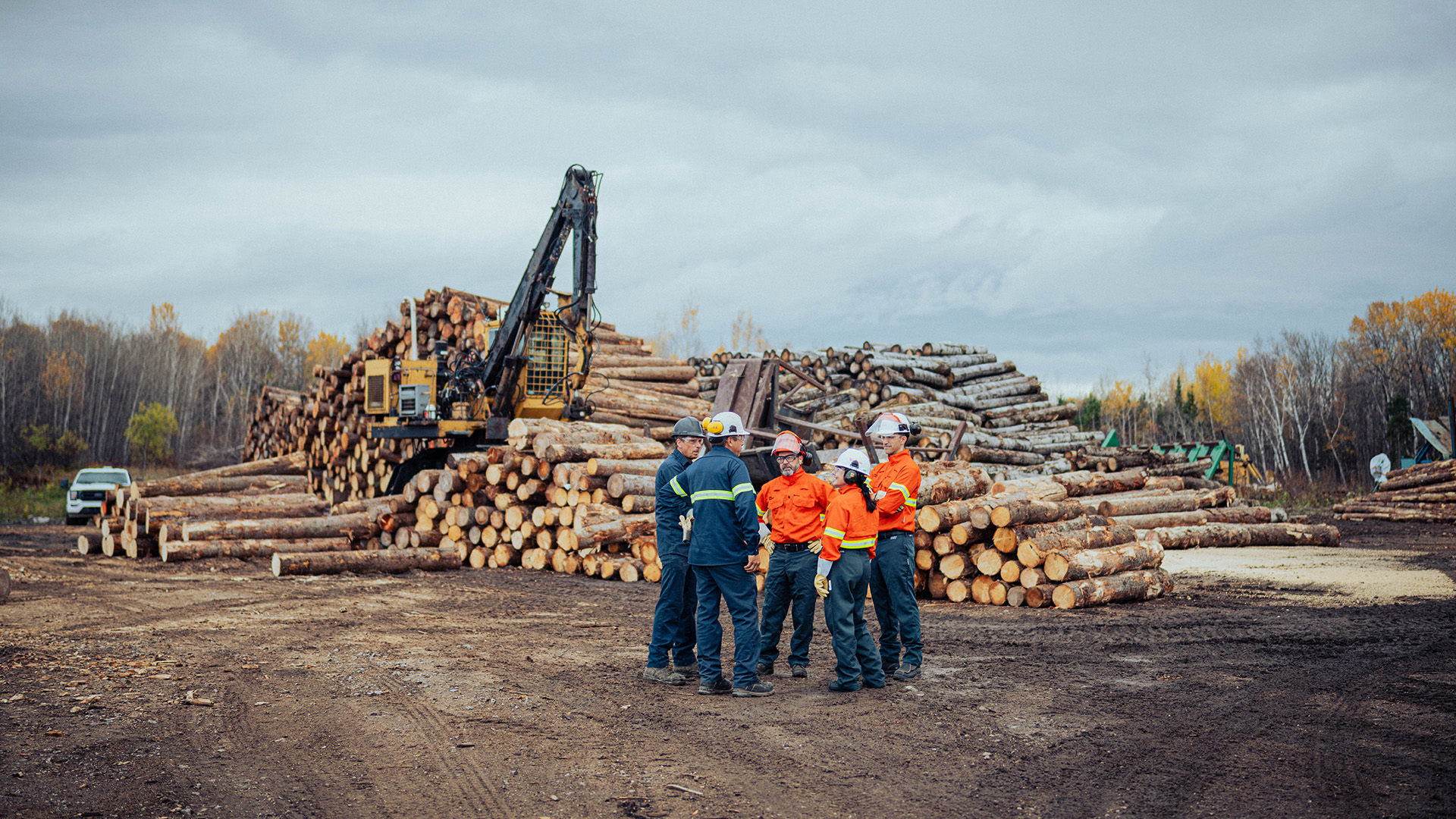 People in hard hats and hi-vis vest at a logging site.