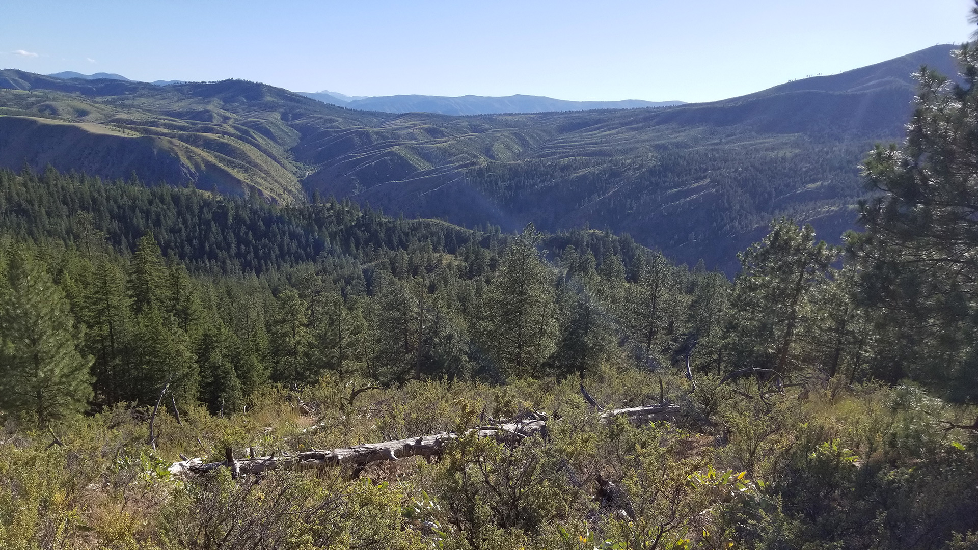 Holden, United States