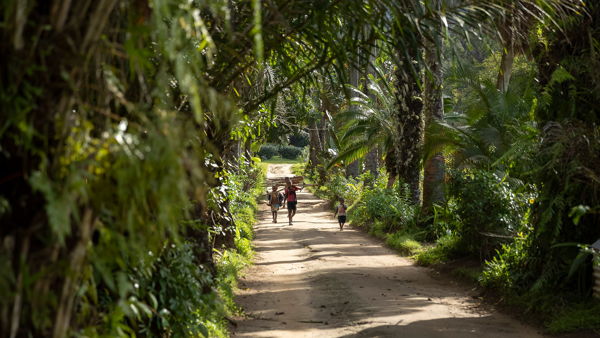 QIT Madagascar Mineral community
