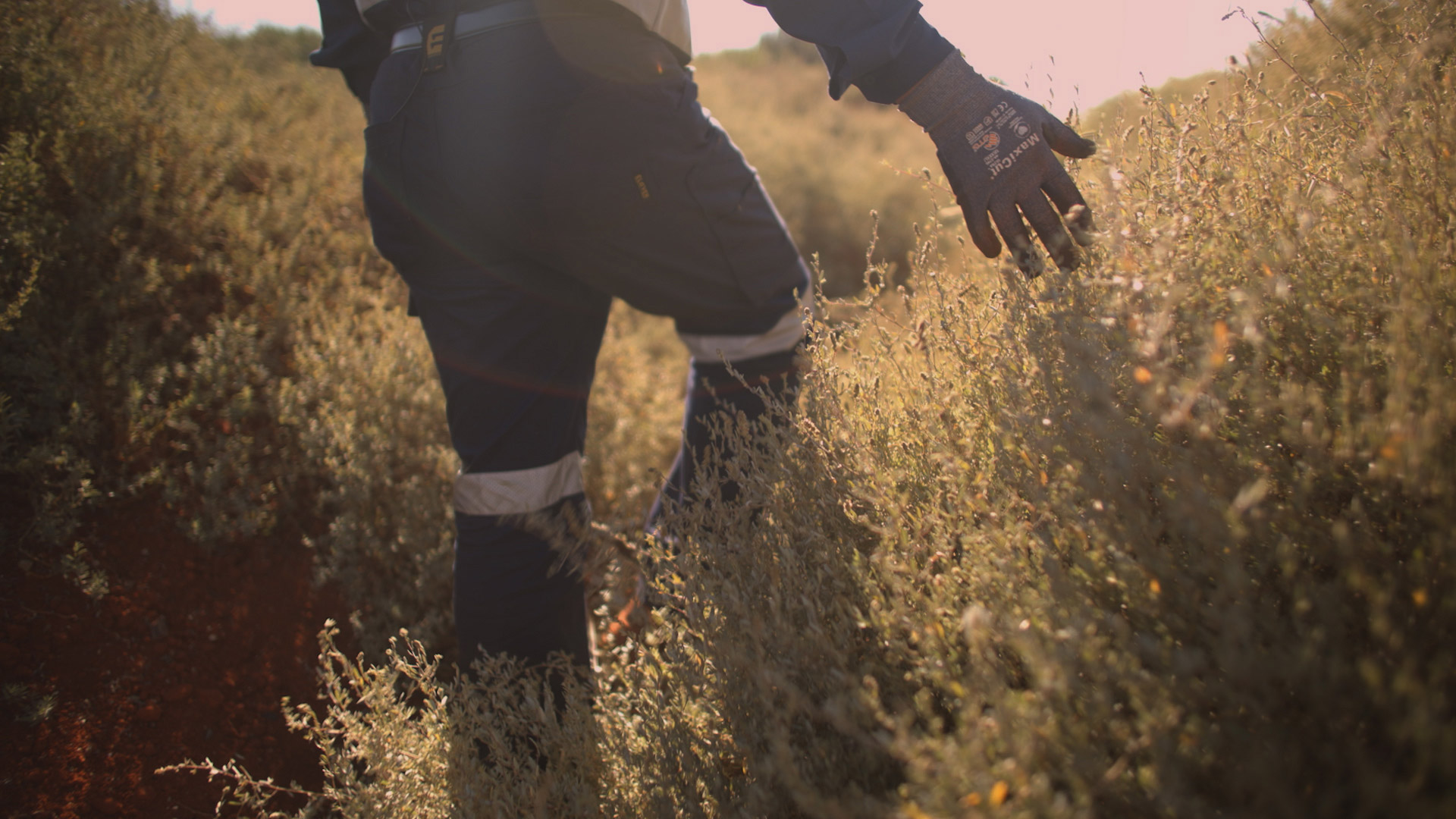 Rehabilitating red mud