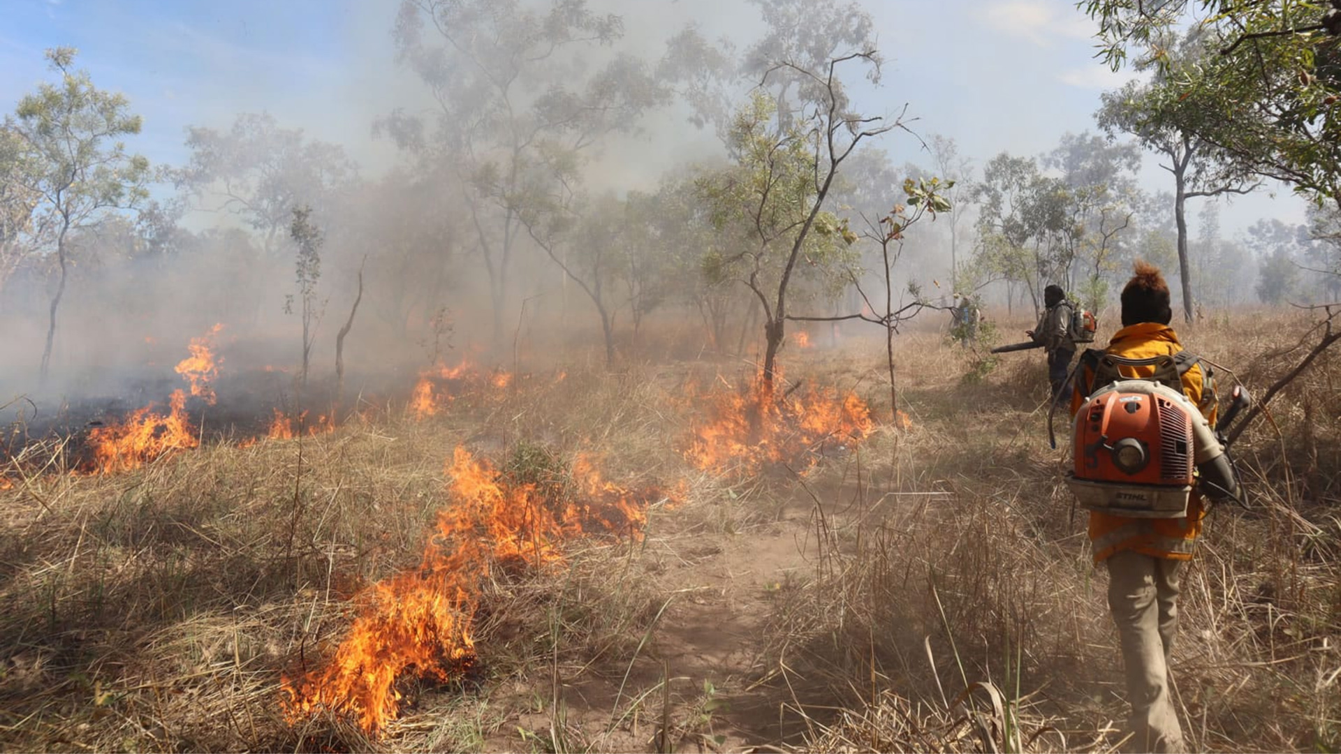 Crew from ALFA rangers using backpack leaf blowers to push back wildfire. 