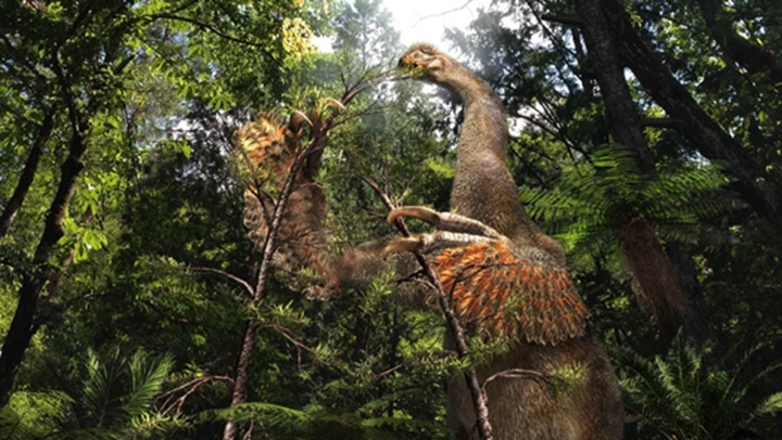 Artist's recreation of what Duonychus tsogtbaatari may have looked like. 