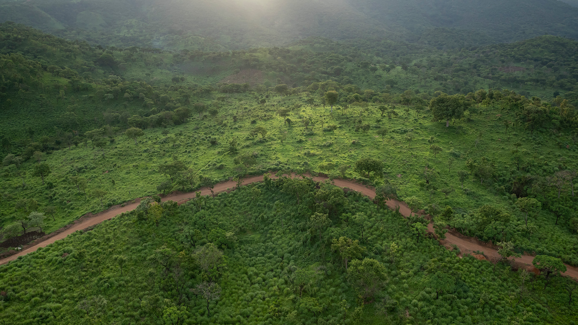 Road weaving through Simandou forest