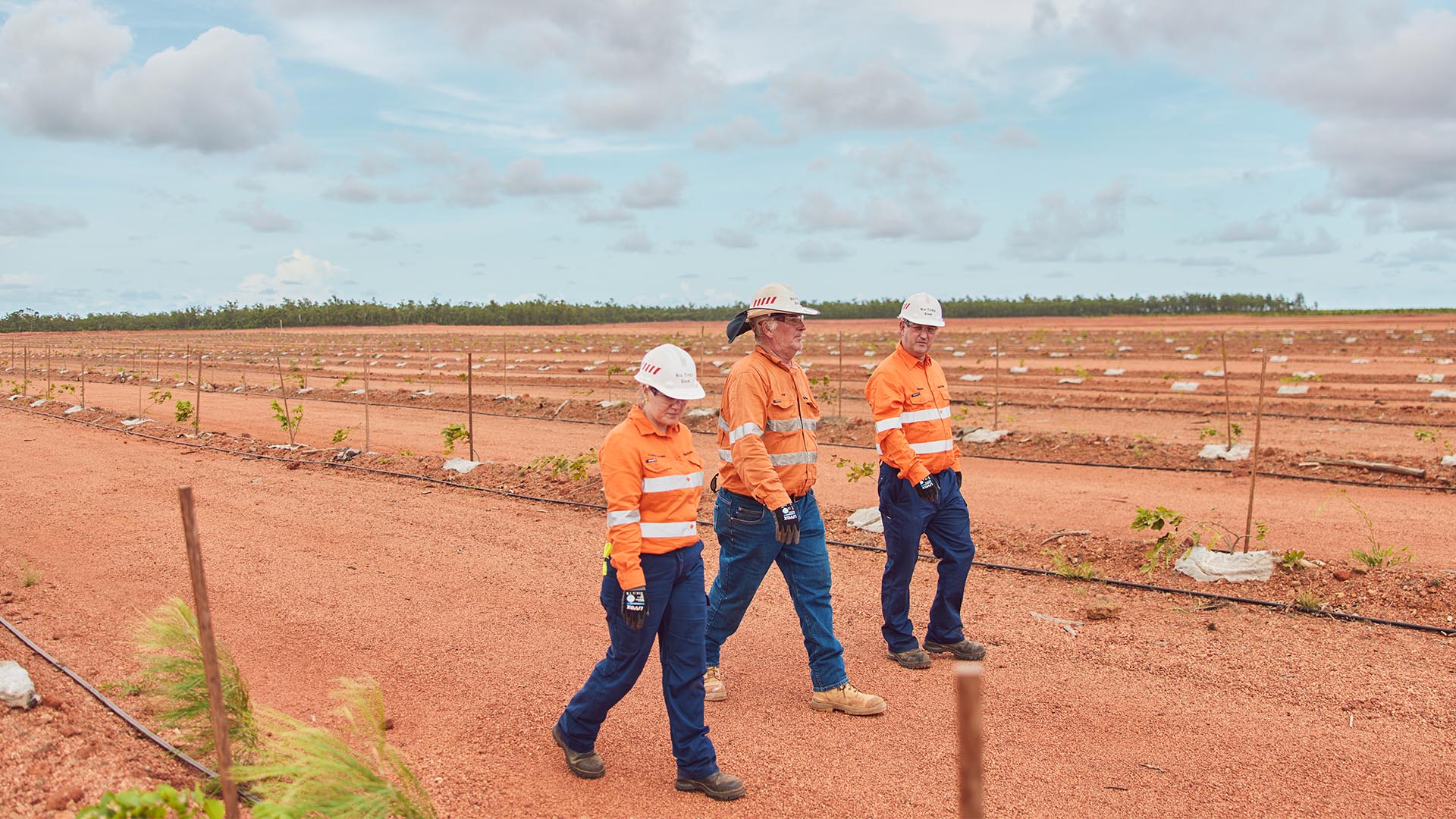 Rio Tinto Gove seedling solar panels