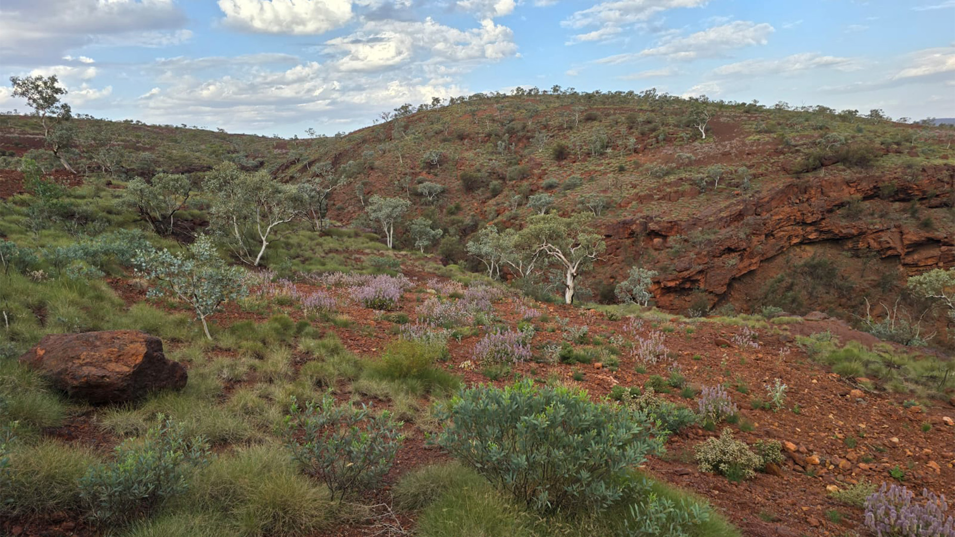 Hope Downs 2 and Bedded Hilltop located in the Pilbara, Western Australia