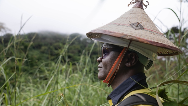 Moussa Koné, Rio Tinto SimFer’s Cultural Heritage Specialist, looks out over the Boyboyba Forest near the Rio Tinto SimFer mine at Simandou.