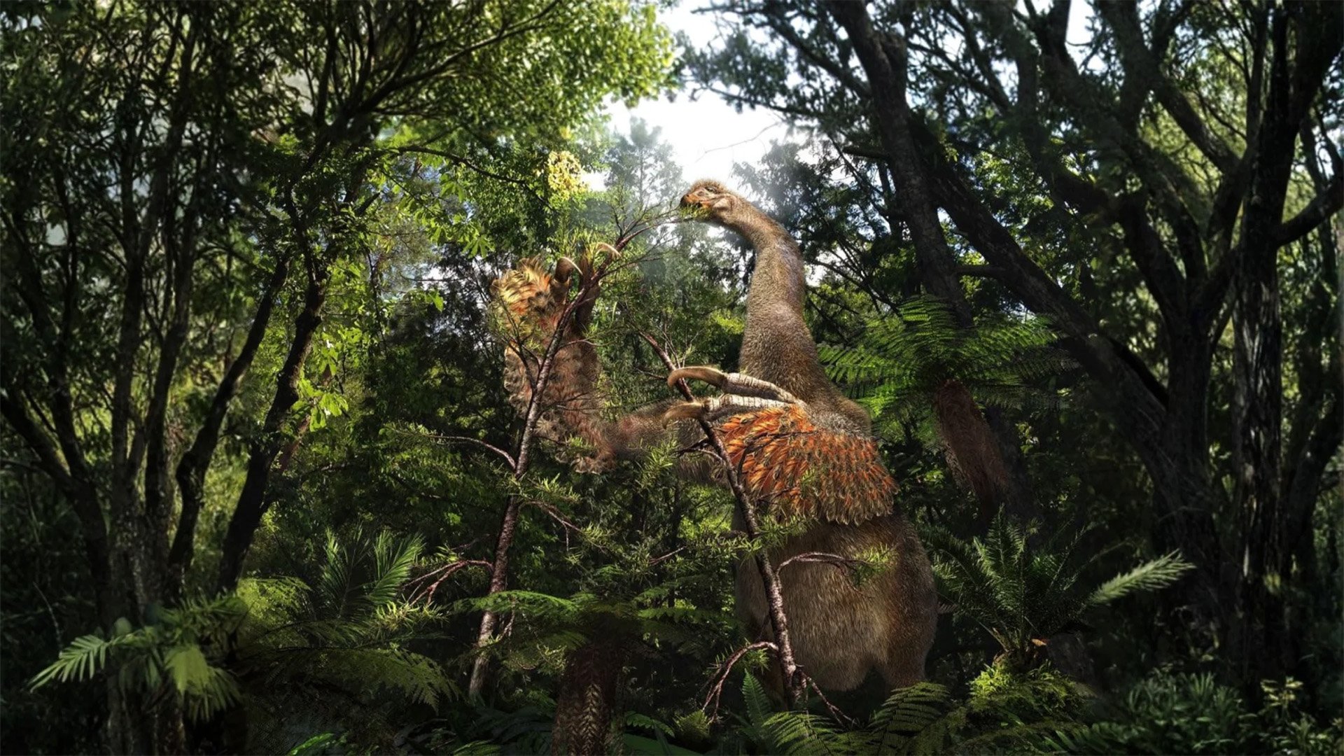 An illustrated reconstruction of Duonychus tsogtbaatari. Illustration credit: Masato Hattori.