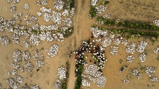 A group of people using sewing machine