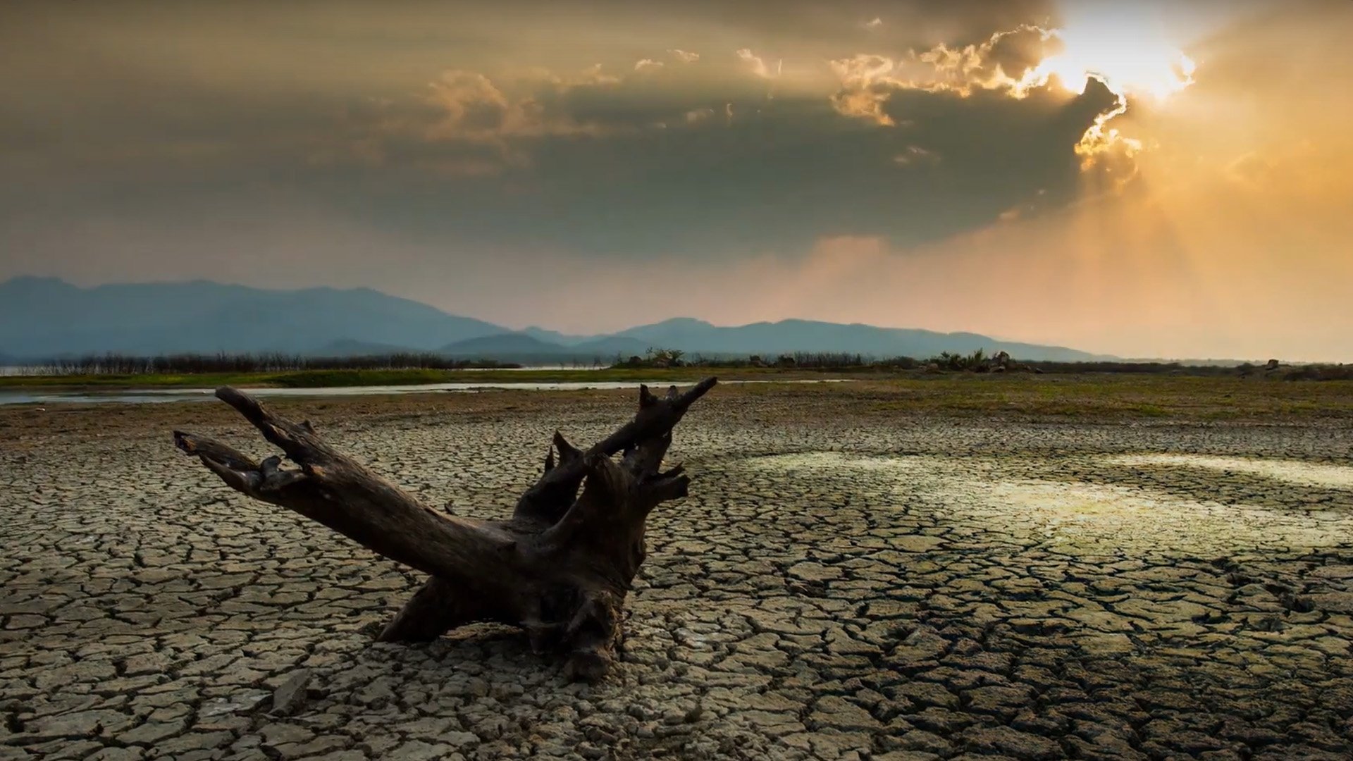 Dry land