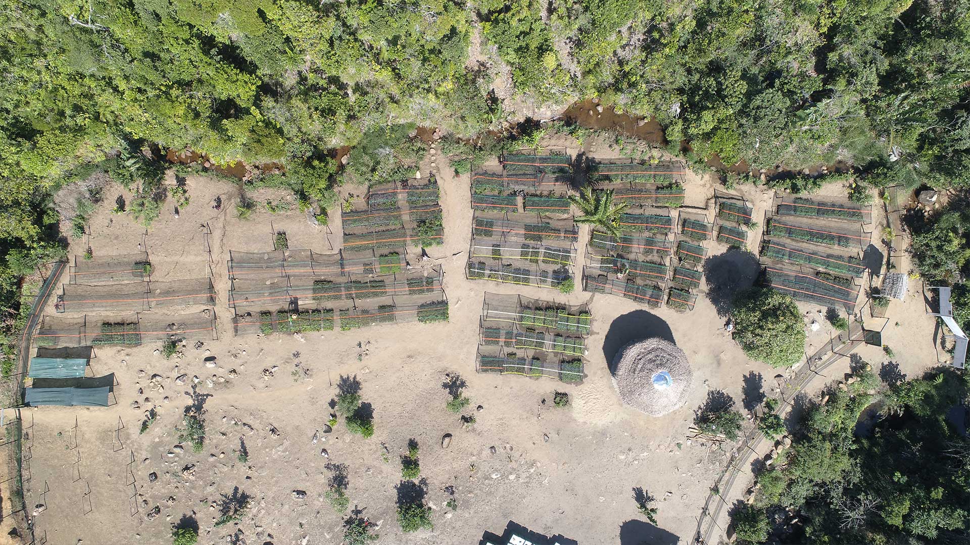 Aerial shot of a beach showing agricultural projects and trees
