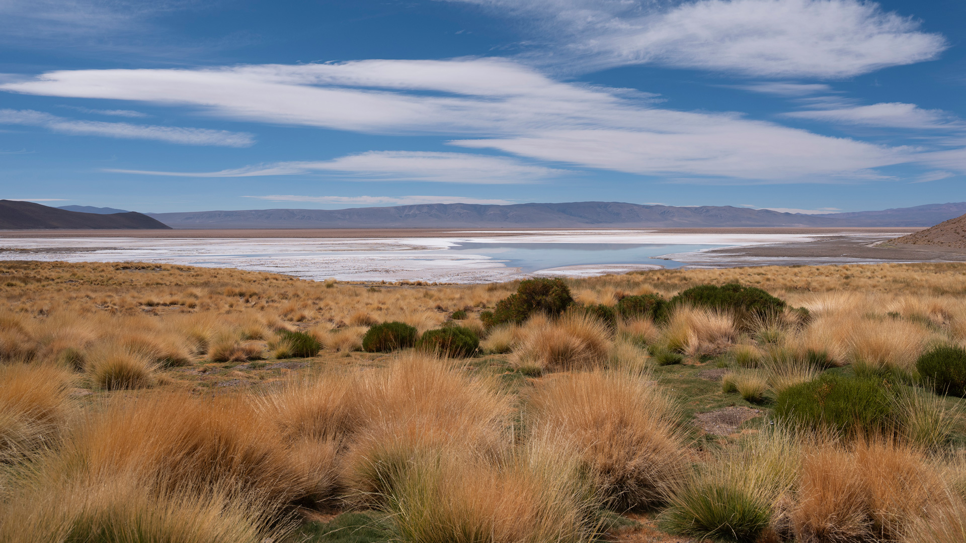 A wide landscape of golden grasslands surrounding a shallow salt lake, with distant mountain ranges under a bright blue sky streaked with long white clouds.
