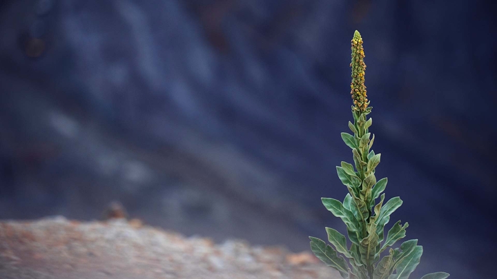 Plant at Kennecott copper mine
