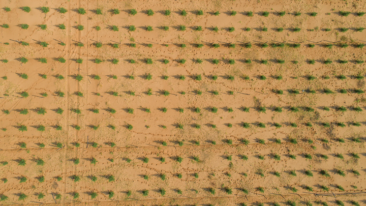 Aerial view of RBM