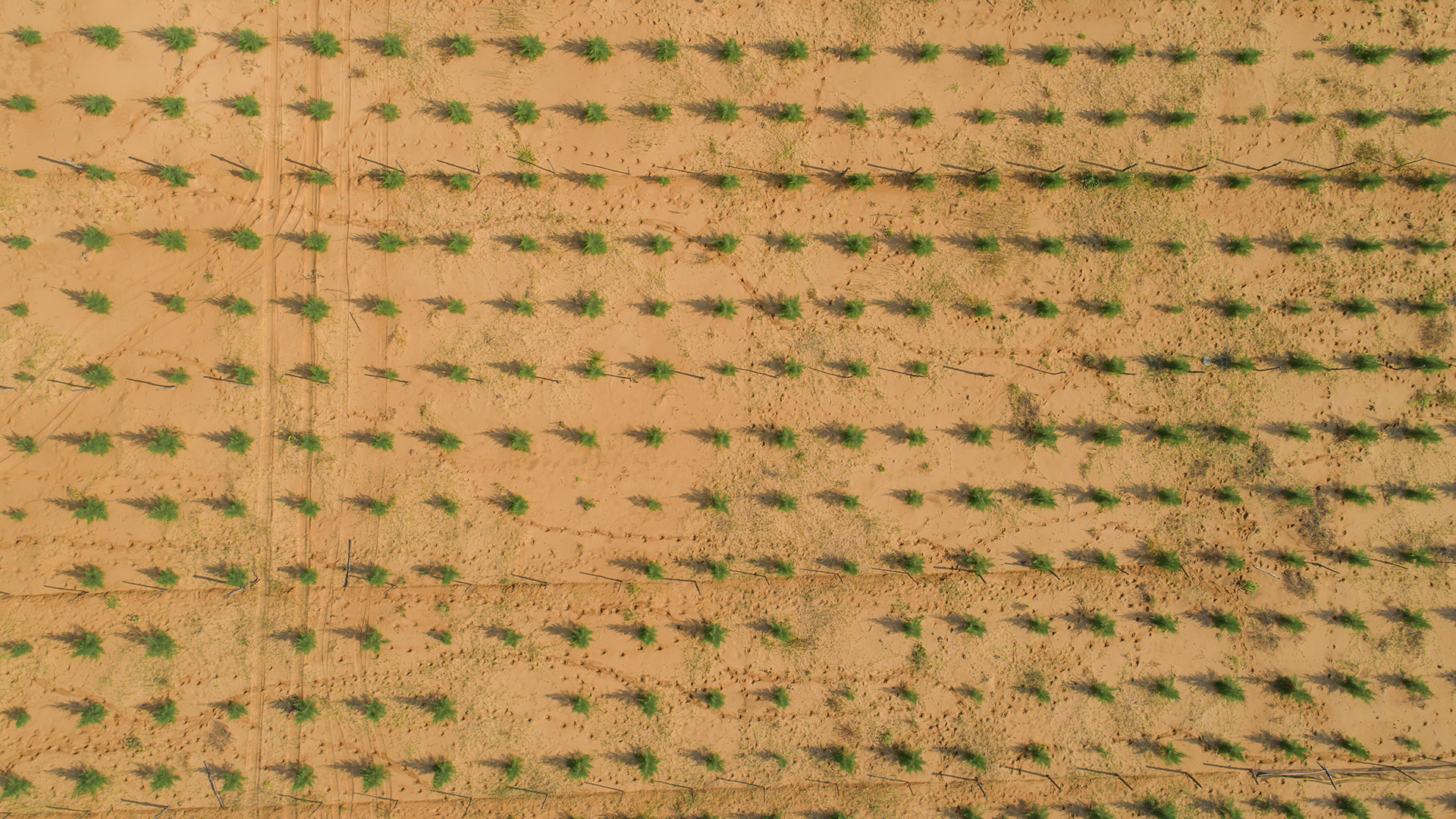 Aerial view of RBM