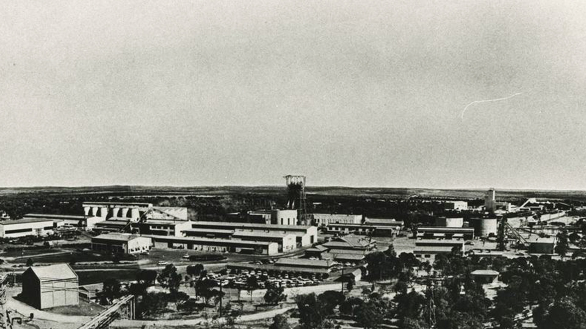 Broken Hill after regeneration, 1961