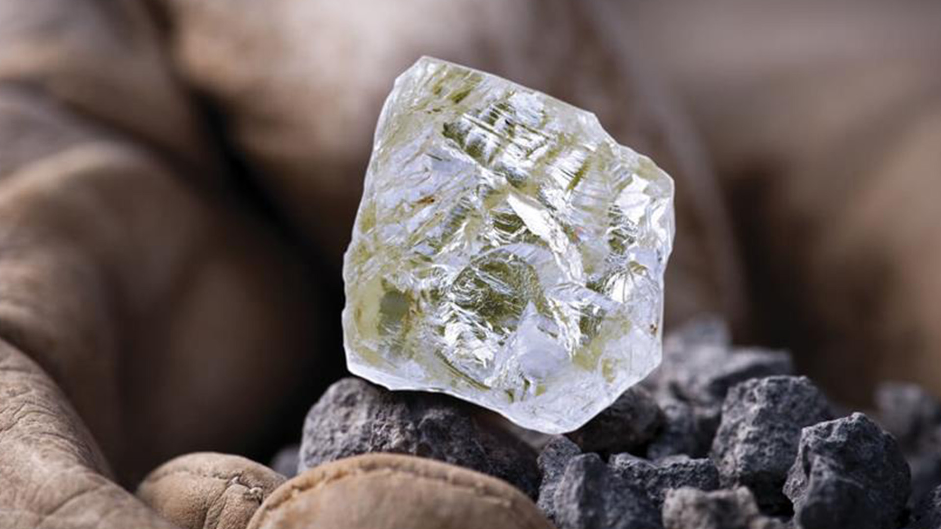 North America’s largest gem-quality rough diamond – the Diavik Foxfire – weighing in at 187.66 carats