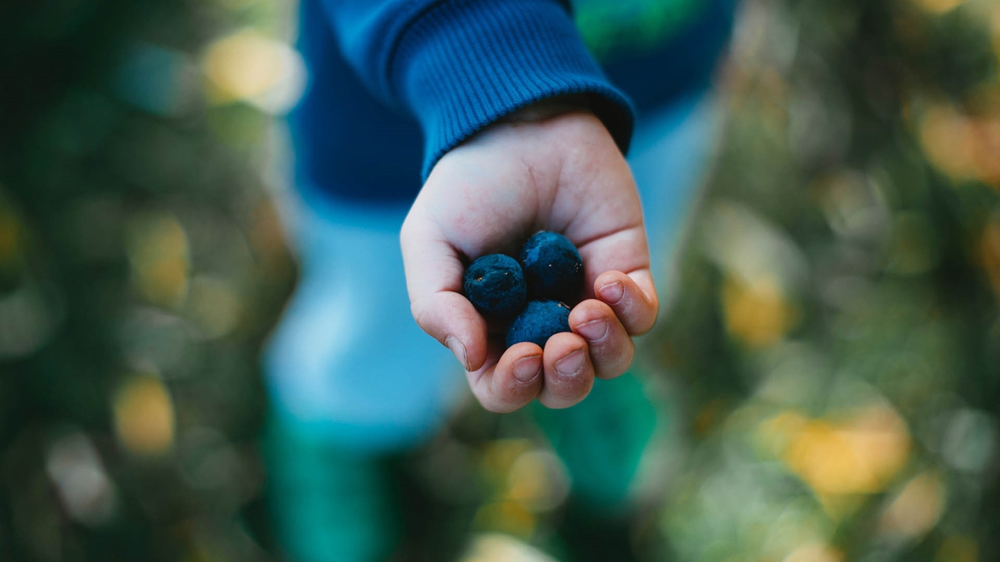 Arm holding out blueberries