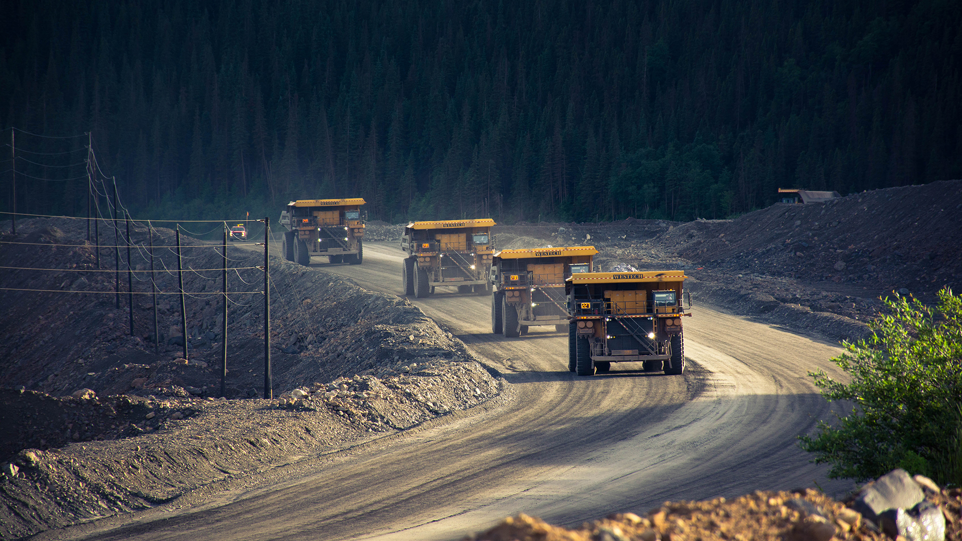 Iron Ore Company of Canada