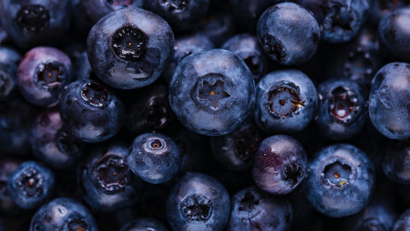 Collection of blueberries