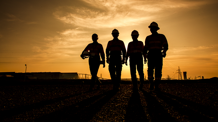 Employees at sunset