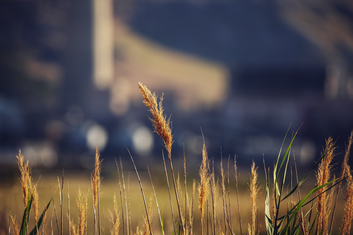Nature landscape at Kennecott