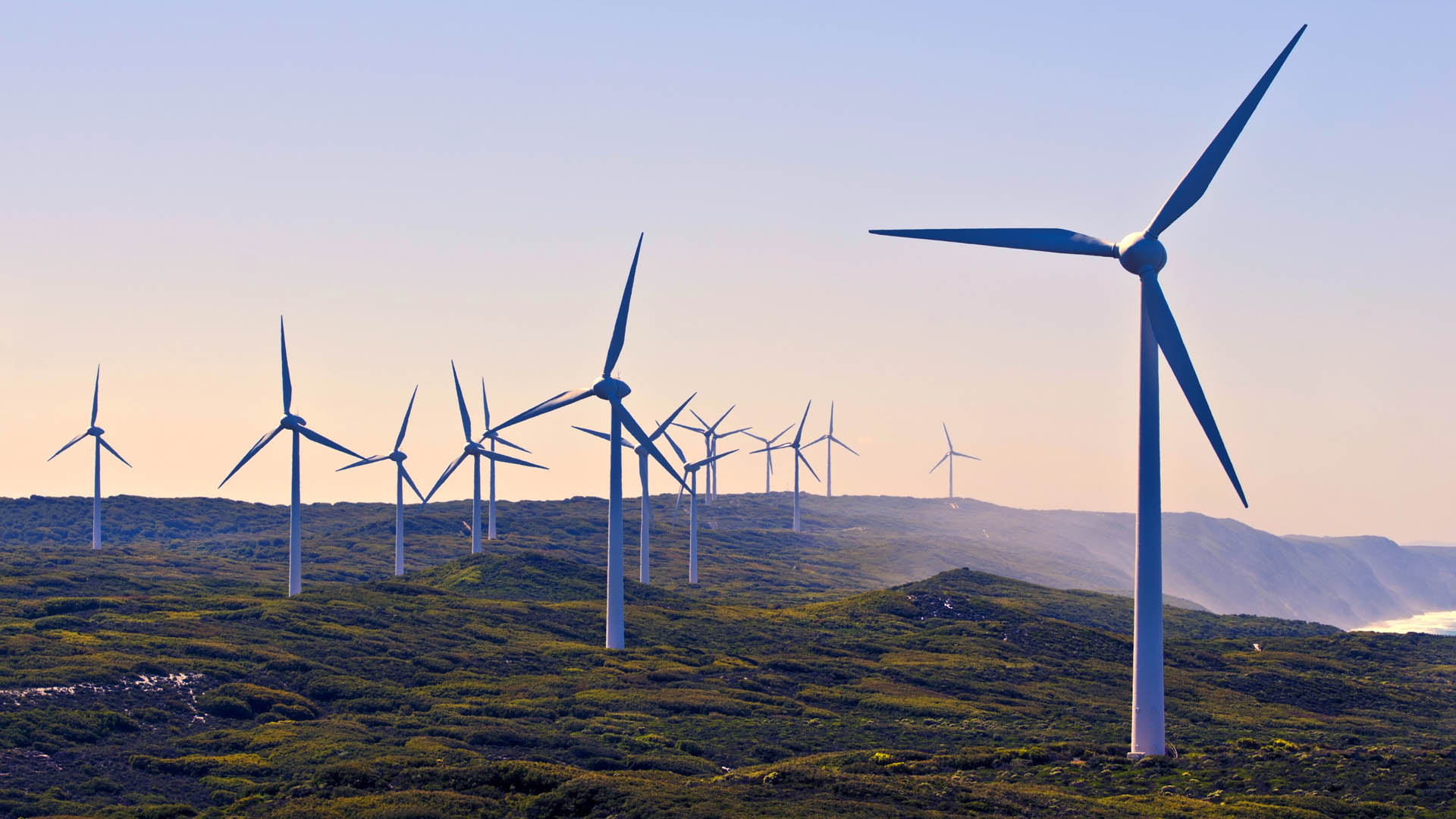 wind farm