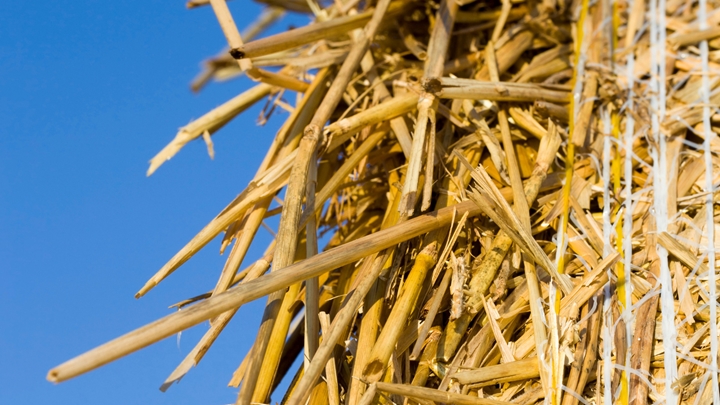straw