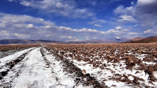 Rincon in the winter